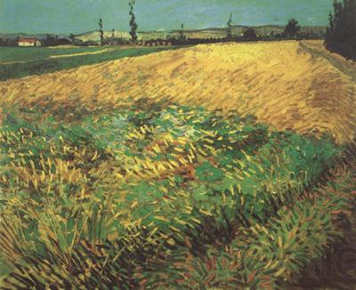 Vincent Van Gogh Wheat Field with the Alpilles Foothills in the Background (nn04) Spain oil painting art